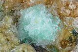 Rosasite and Selenite Crystal Association - Morocco #104166-1